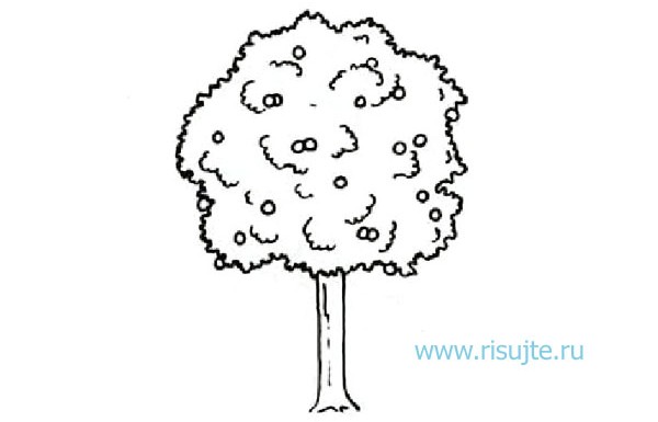04.Как нарисовать дерево карандашом поэтапно