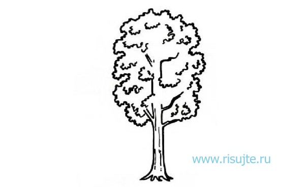 04.Как нарисовать дерево поэтапно – урок для начинающих